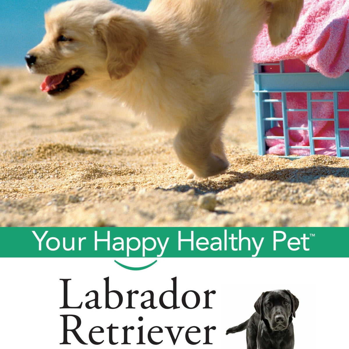Labrador Retriever: Your Happy Healthy Pet (2nd Edition) — Turner